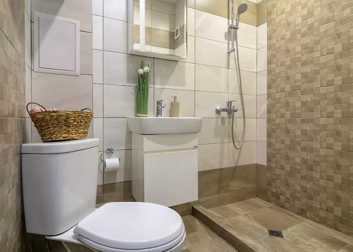 Chayka Comfort Apartment *